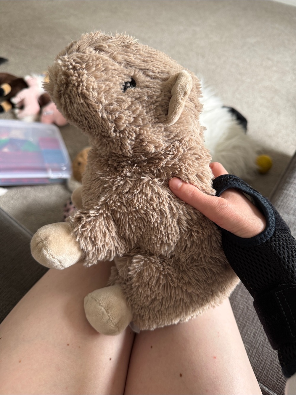 Warmies Capybara READ FIRST